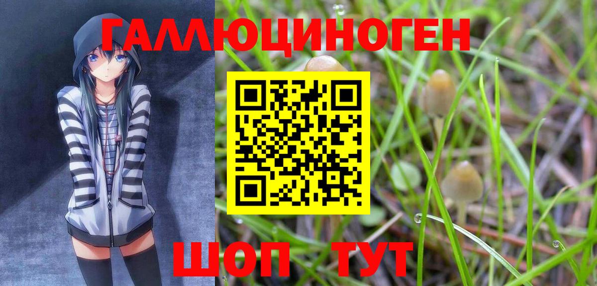 Псилоцибиновые грибы ЛСД Сунжа