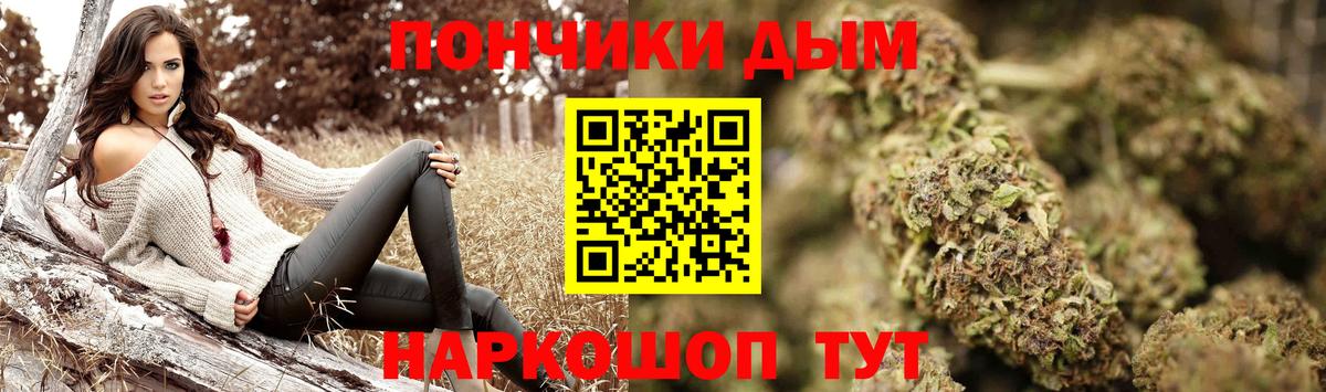 Конопля сатива Сунжа